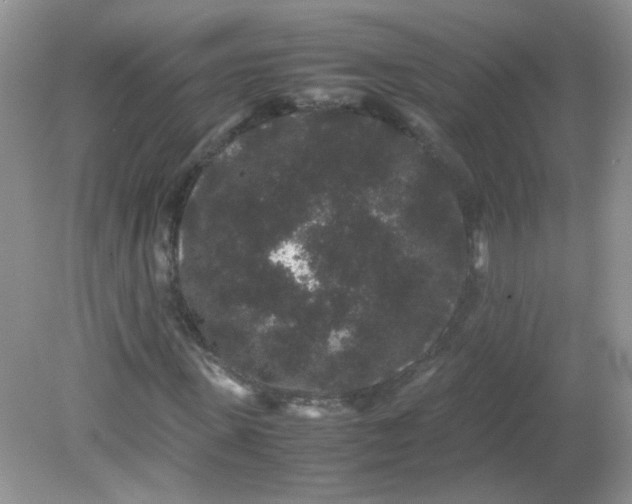 X0000081610915200701291423