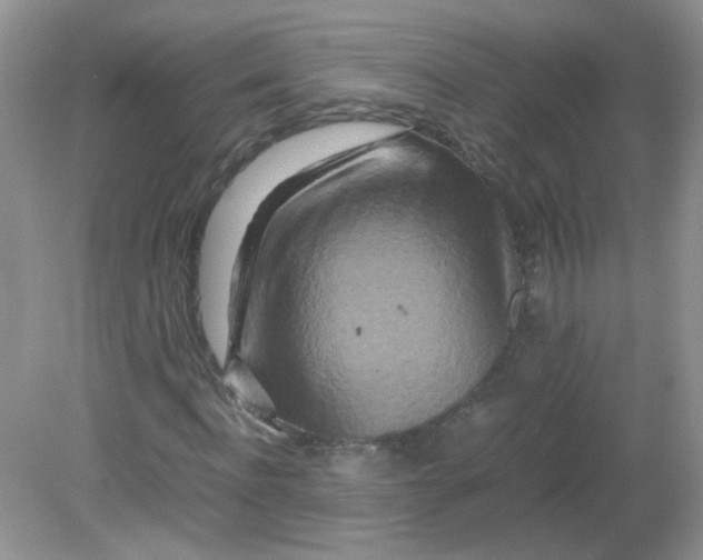 X0000081610916200701291423