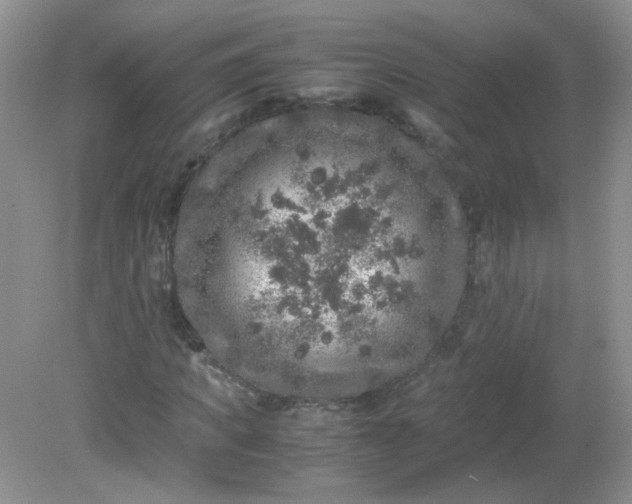 X0000081610917200701291423