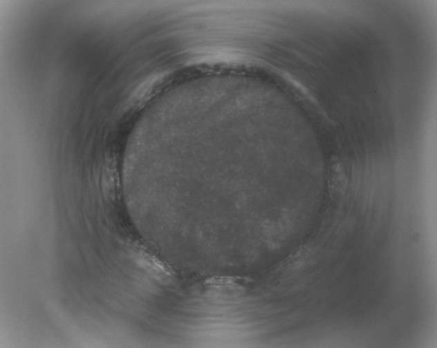 X0000081610918200701291423