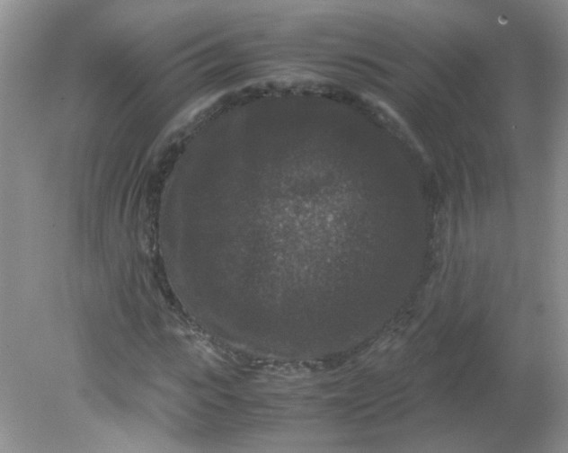 X0000081610919200701291423