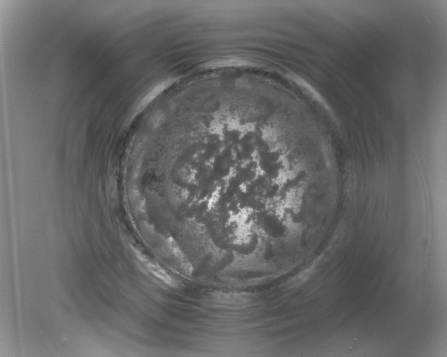 X0000081610921200701291423