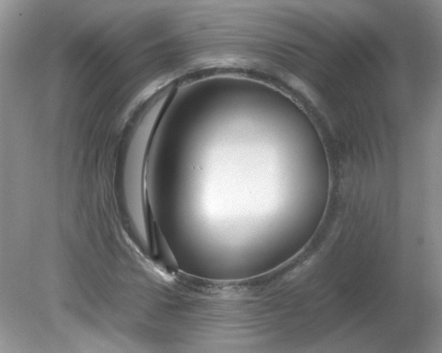 X0000081610922200701291423