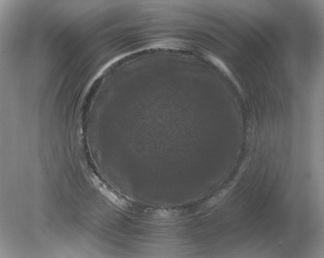 X0000081610923200701291423