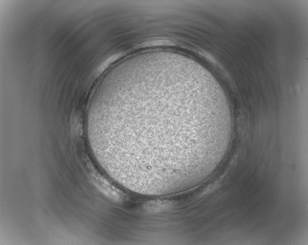 X0000081610929200701291423