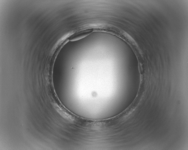 X0000081610930200701291423