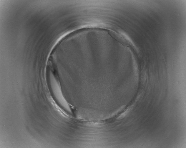 X0000081610932200701291423