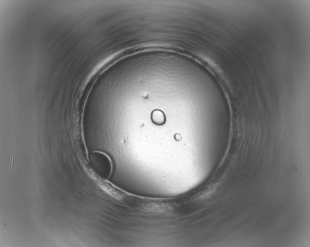 X0000081610933200701291423