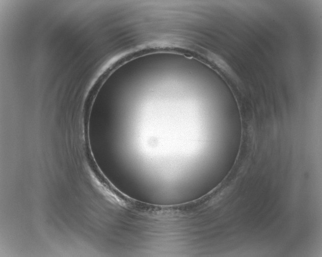 X0000081610934200701291423