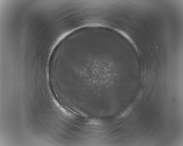 X0000081610935200701291423