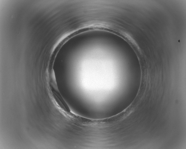 X0000081610936200701291423