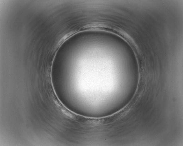 X0000081610937200701291423