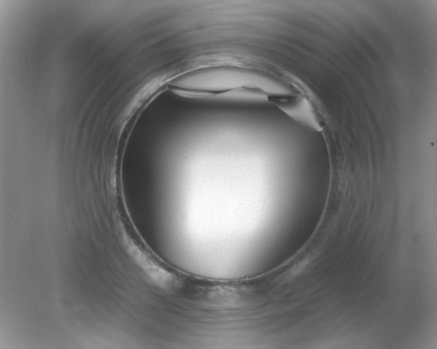 X0000081610938200701291423