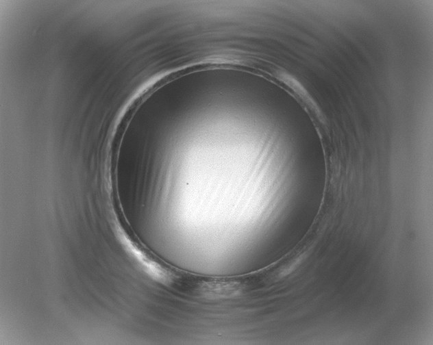 X0000081610939200701291423