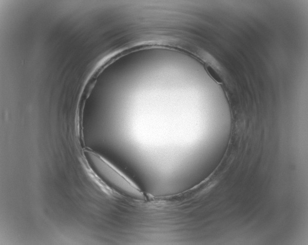 X0000081610940200701291423