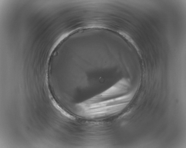 X0000081610941200701291423