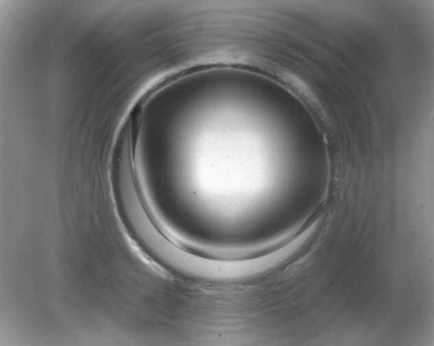 X0000081610942200701291423