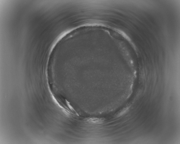 X0000081610943200701291423