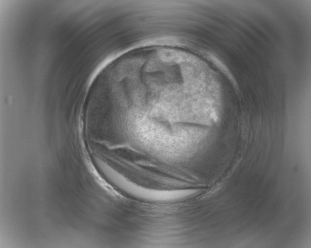 X0000081610944200701291423