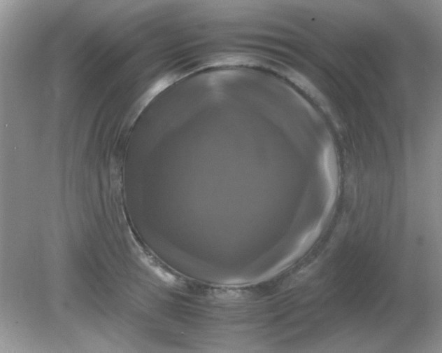 X0000081610945200701291423