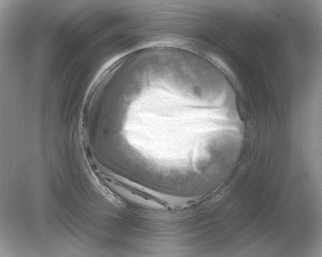 X0000081610948200701291423