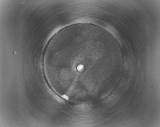 X0000081610950200701291423