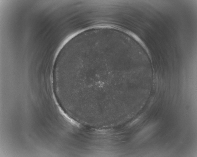 X0000081610951200701291423