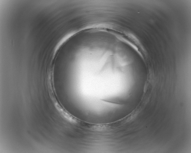 X0000081610952200701291424