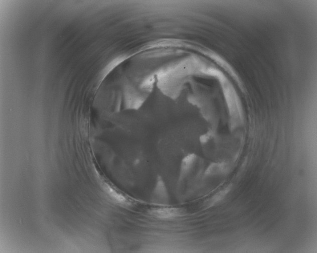 X0000081610953200701291424