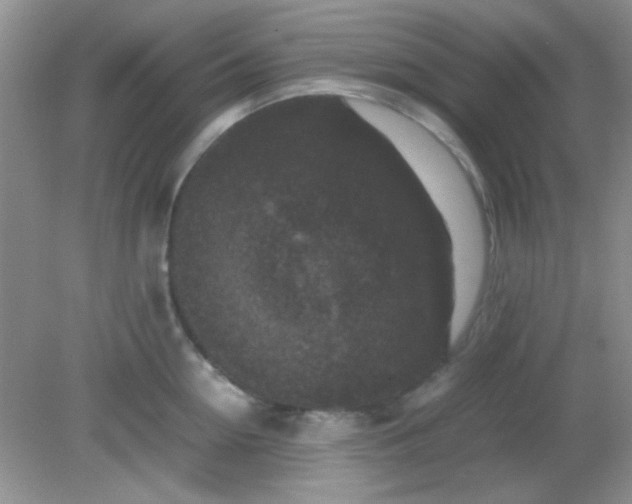 X0000081610954200701291424