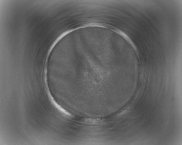 X0000081610955200701291424