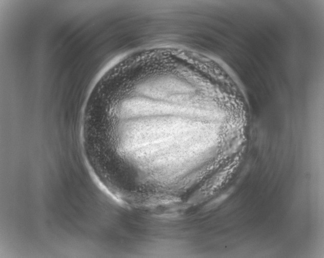 X0000081610957200701291424