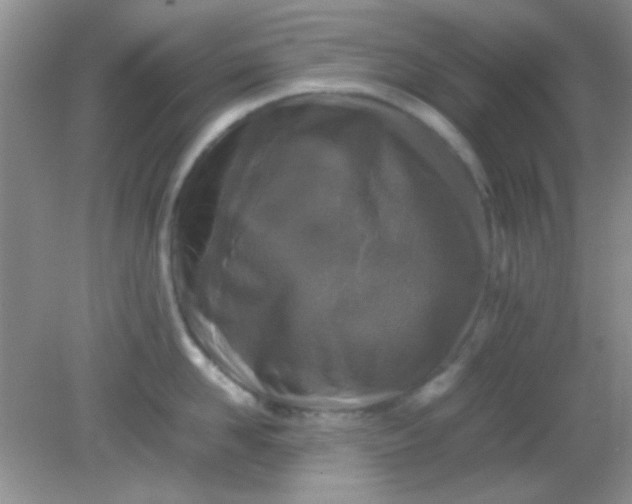 X0000081610958200701291424