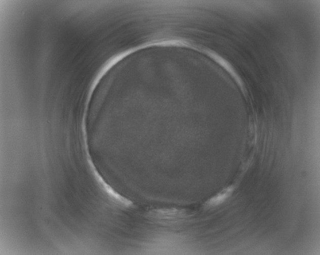 X0000081610959200701291424