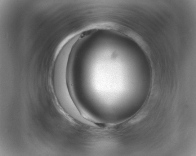 X0000081610960200701291424