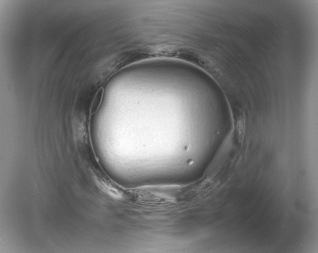 X0000081610963200701291423