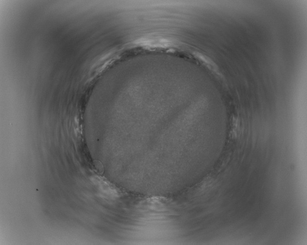 X0000081610966200701291423