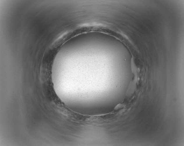 X0000081610967200701291423