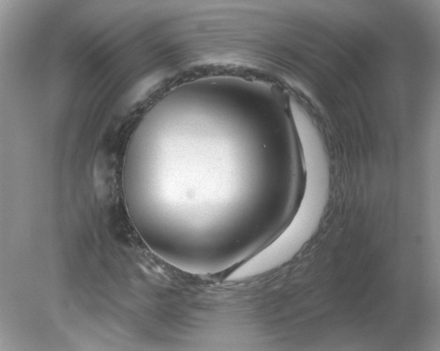 X0000081610968200701291423