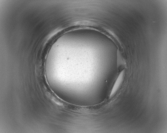 X0000081610971200701291423