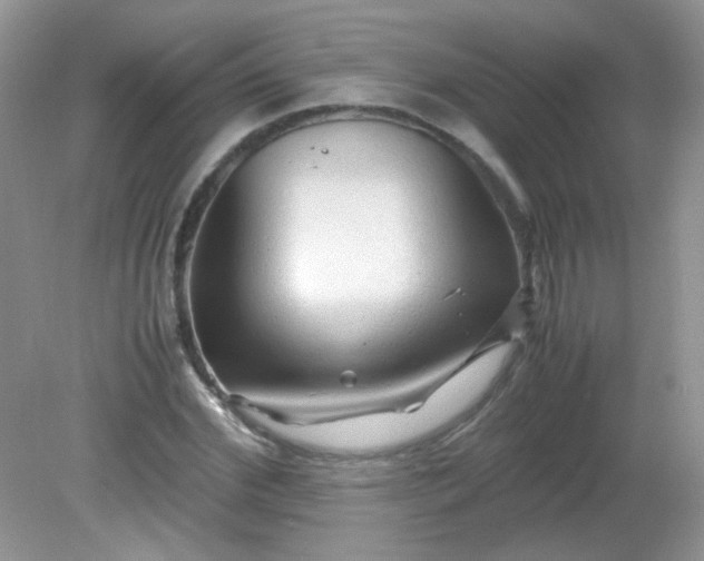 X0000081610972200701291423