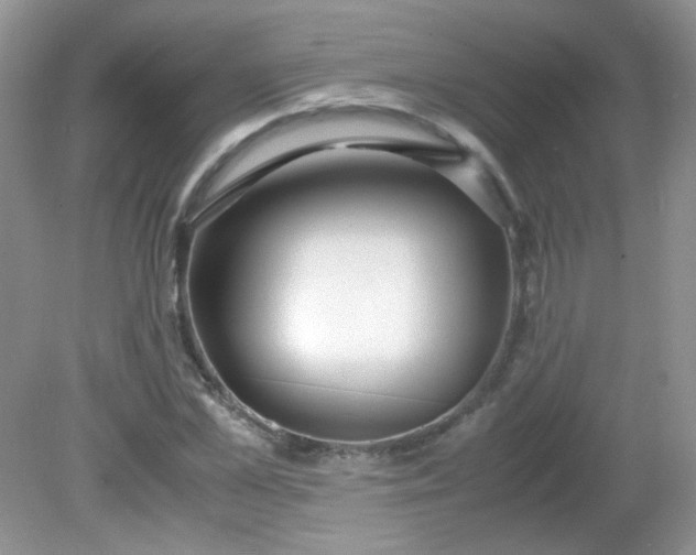 X0000081610973200701291423