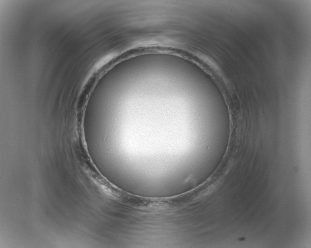 X0000081610974200701291423