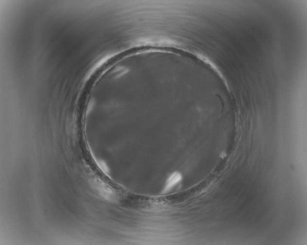 X0000081610975200701291423