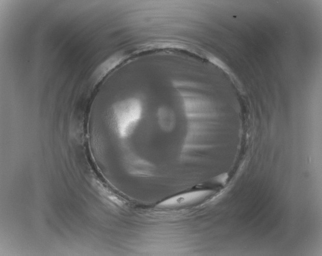 X0000081610977200701291423