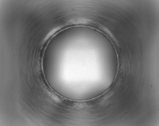 X0000081610978200701291423