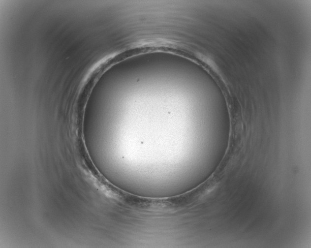 X0000081610979200701291423