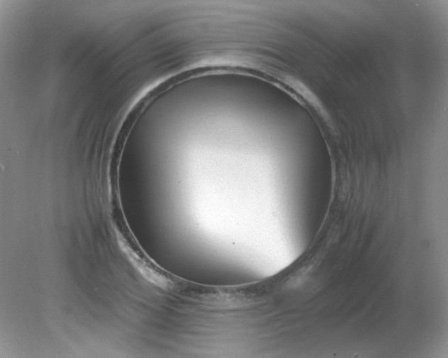 X0000081610980200701291423