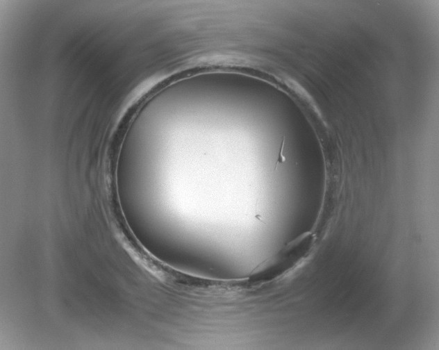 X0000081610981200701291423