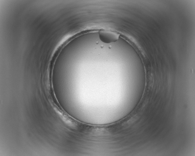 X0000081610982200701291422